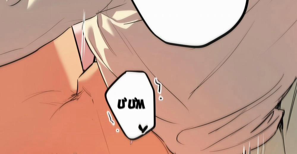 Đàn Thỏ Của Habibi 38 trang 255