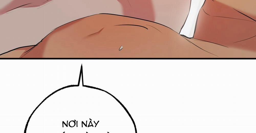 Đàn Thỏ Của Habibi 38 trang 263
