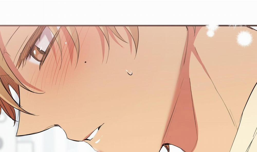 Đàn Thỏ Của Habibi 38 trang 34