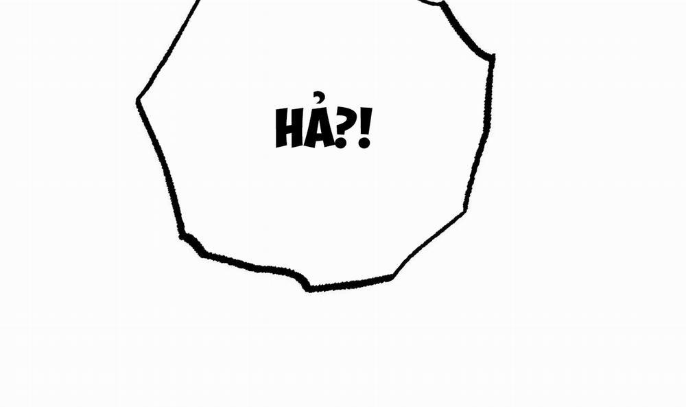 Đàn Thỏ Của Habibi 38 trang 48