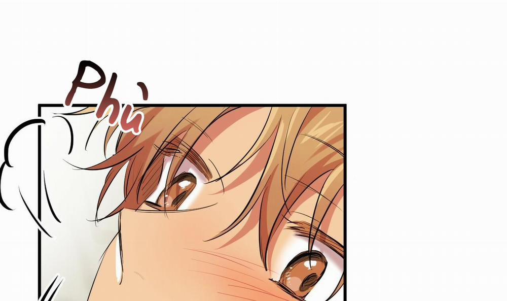 Đàn Thỏ Của Habibi 38 trang 50