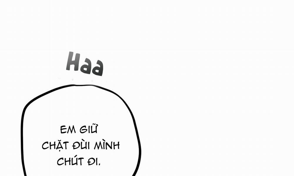 Đàn Thỏ Của Habibi 38 trang 82