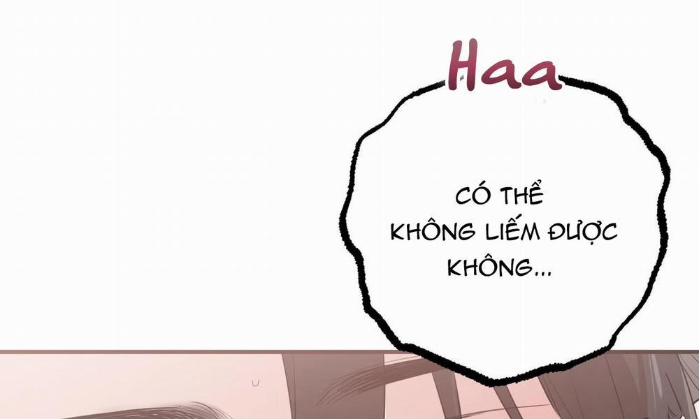 Đàn Thỏ Của Habibi 38 trang 97