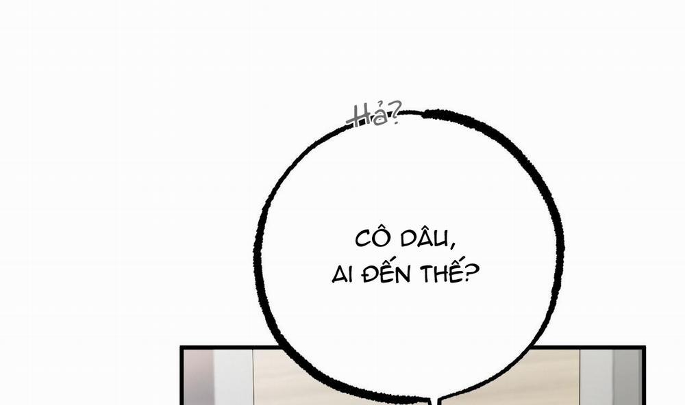 Đàn Thỏ Của Habibi 39 trang 102