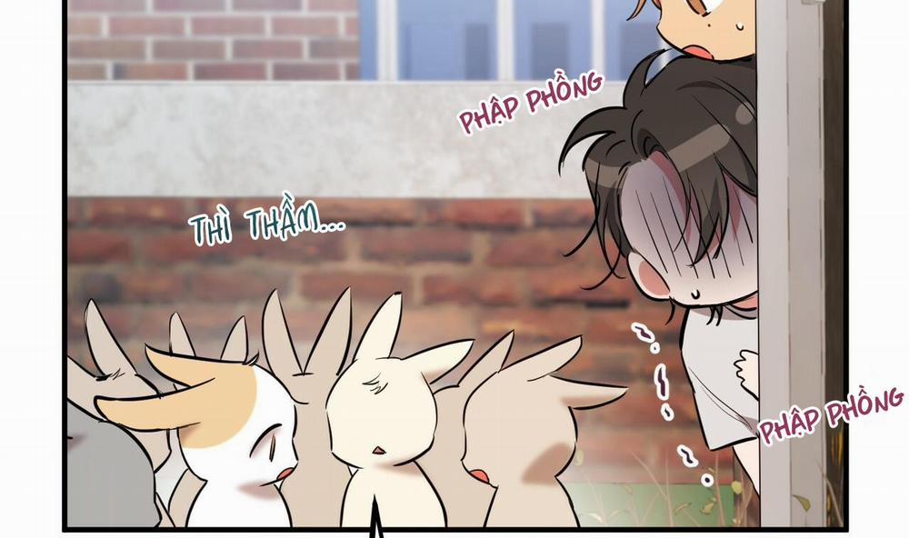 Đàn Thỏ Của Habibi 39 trang 108