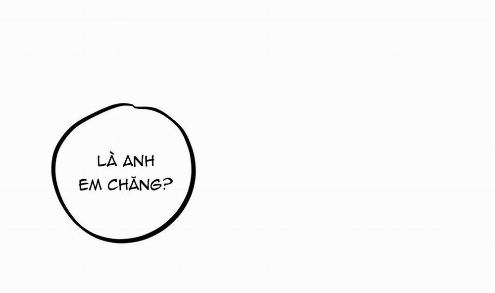 Đàn Thỏ Của Habibi 39 trang 110