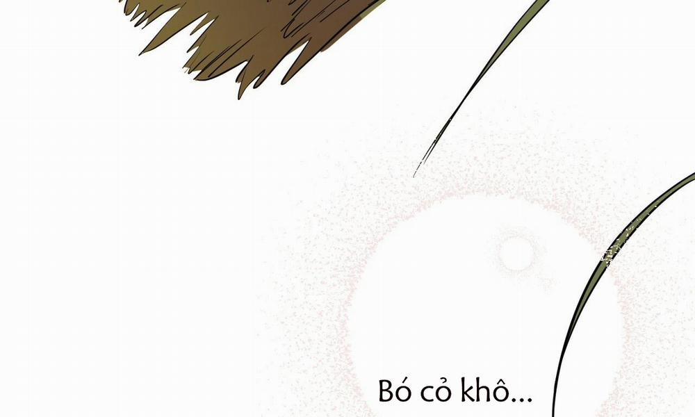 Đàn Thỏ Của Habibi 39 trang 12