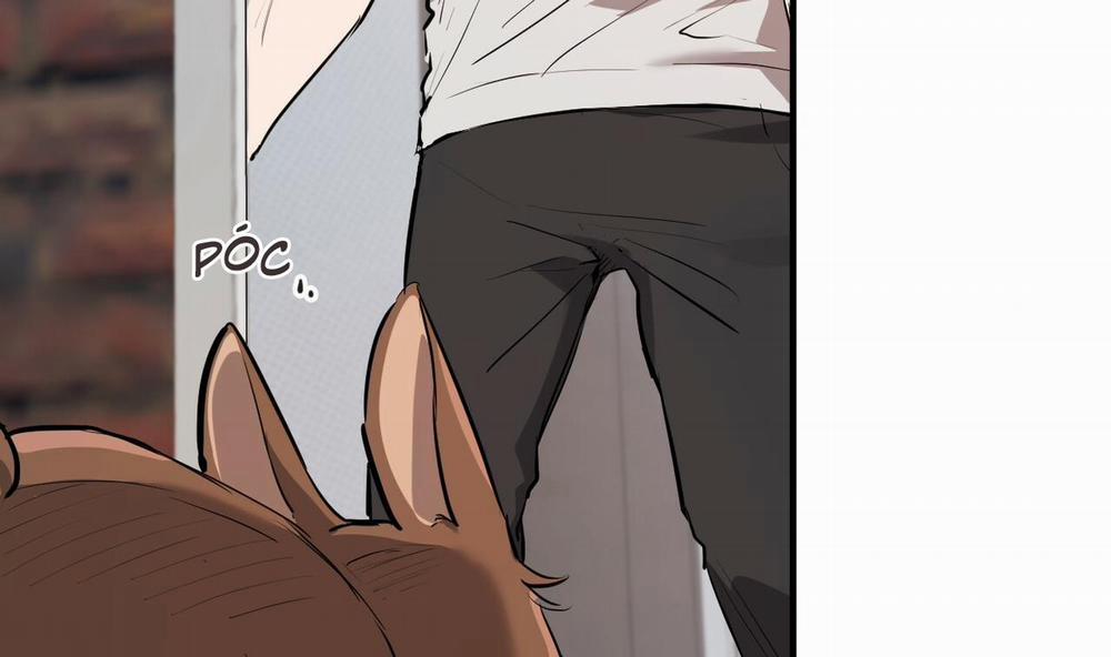 Đàn Thỏ Của Habibi 39 trang 124