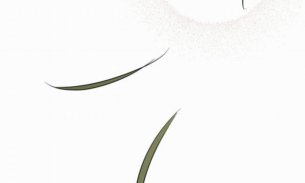 Đàn Thỏ Của Habibi 39 trang 13