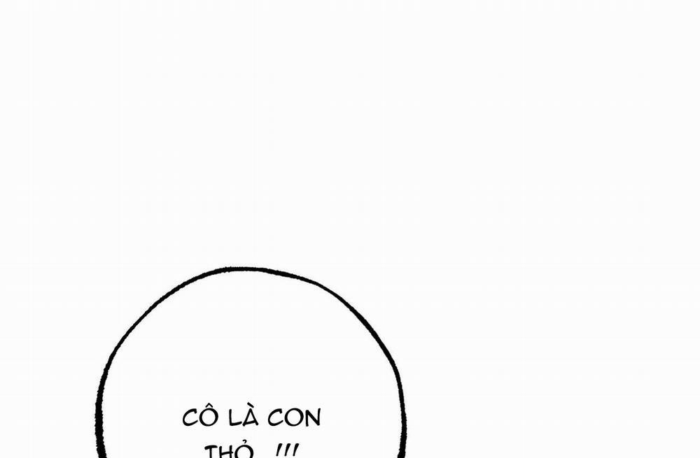 Đàn Thỏ Của Habibi 39 trang 135