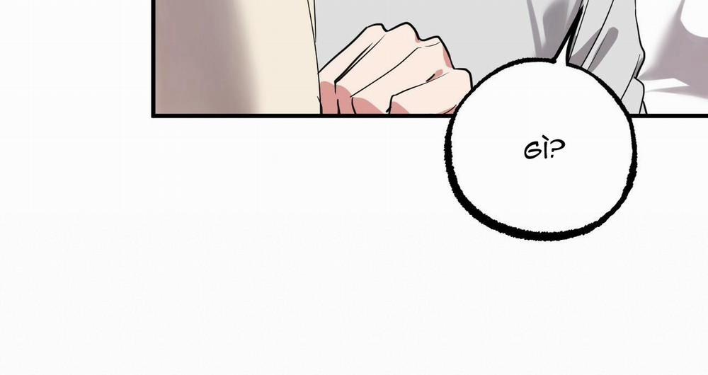 Đàn Thỏ Của Habibi 39 trang 155