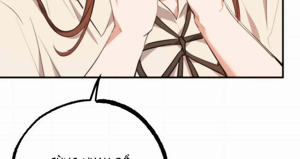 Đàn Thỏ Của Habibi 39 trang 169