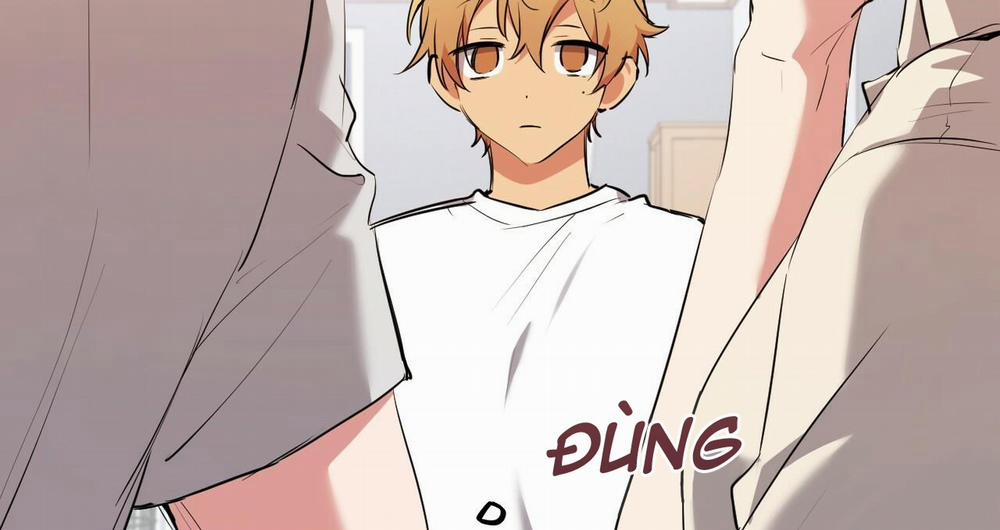 Đàn Thỏ Của Habibi 39 trang 174