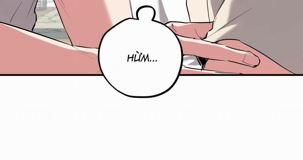 Đàn Thỏ Của Habibi 39 trang 175