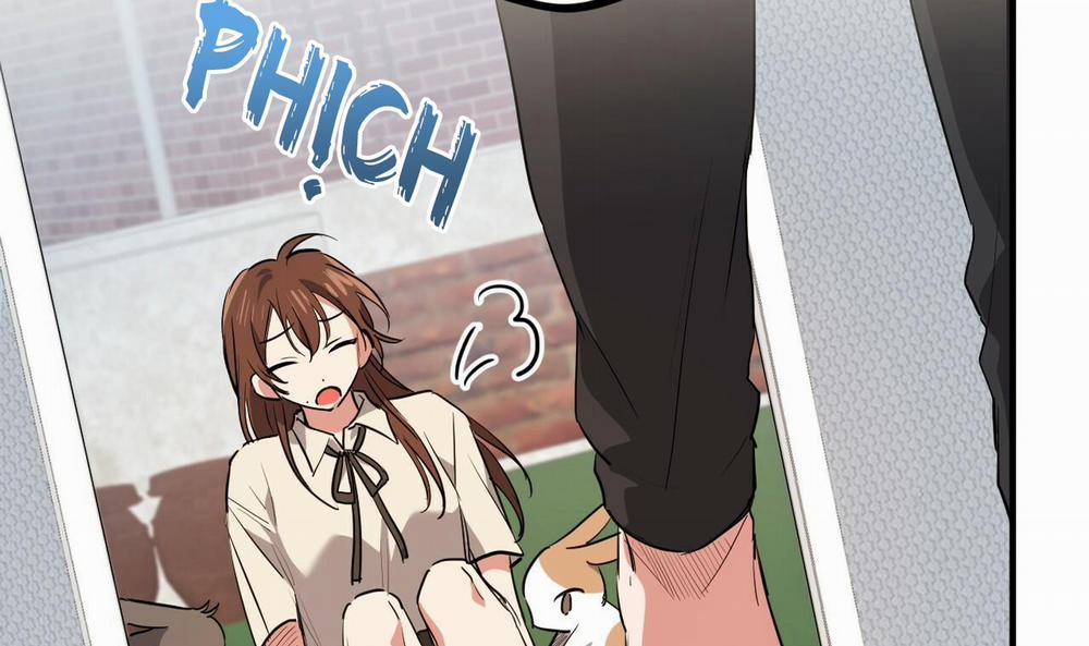 Đàn Thỏ Của Habibi 39 trang 203