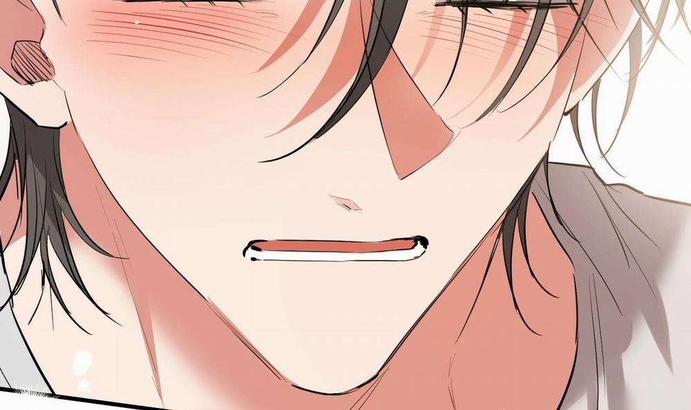 Đàn Thỏ Của Habibi 39 trang 213