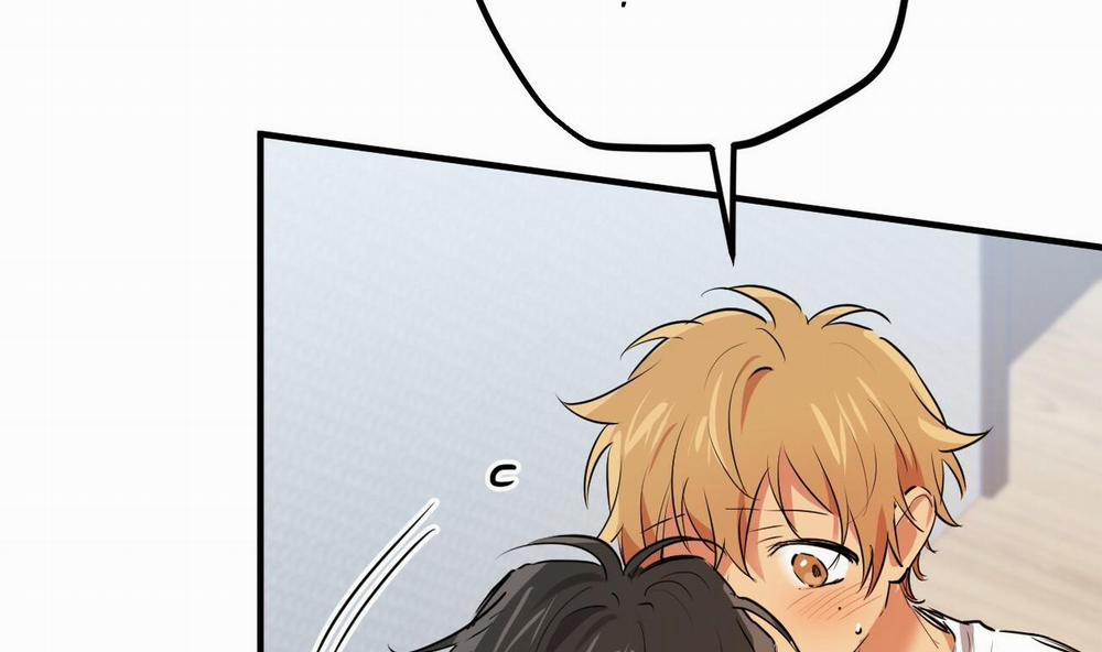 Đàn Thỏ Của Habibi 39 trang 216