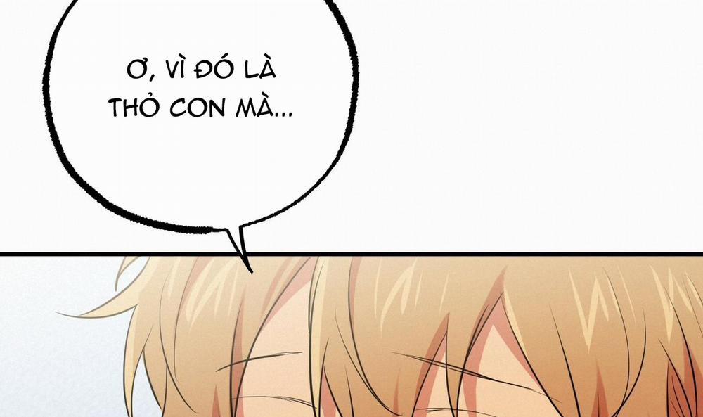 Đàn Thỏ Của Habibi 39 trang 221