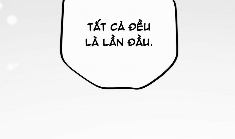 Đàn Thỏ Của Habibi 39 trang 227