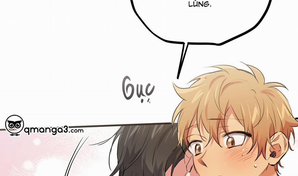 Đàn Thỏ Của Habibi 39 trang 237