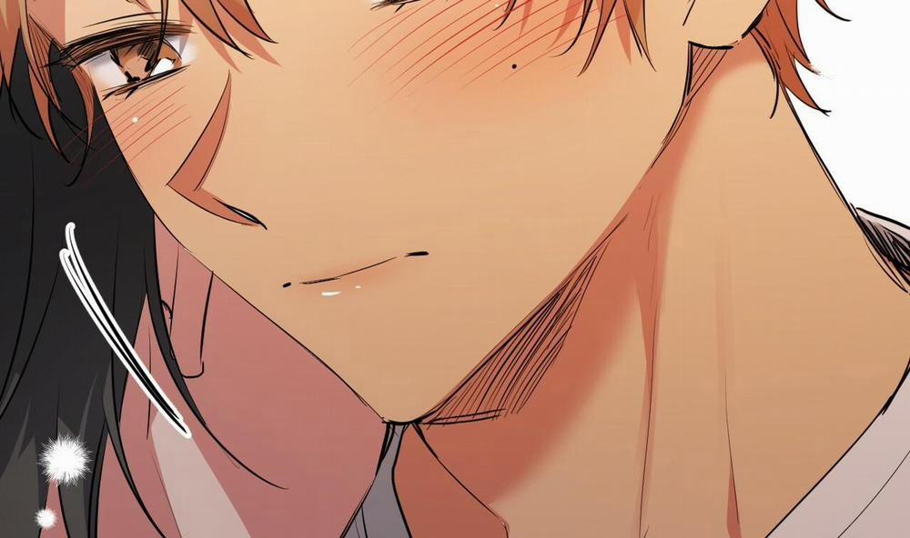 Đàn Thỏ Của Habibi 39 trang 241