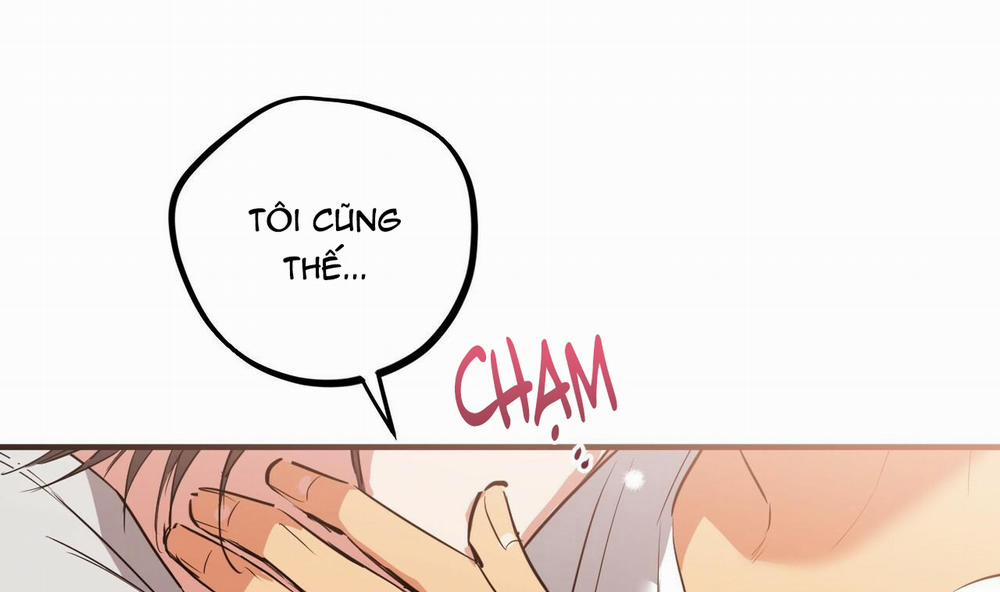 Đàn Thỏ Của Habibi 39 trang 243