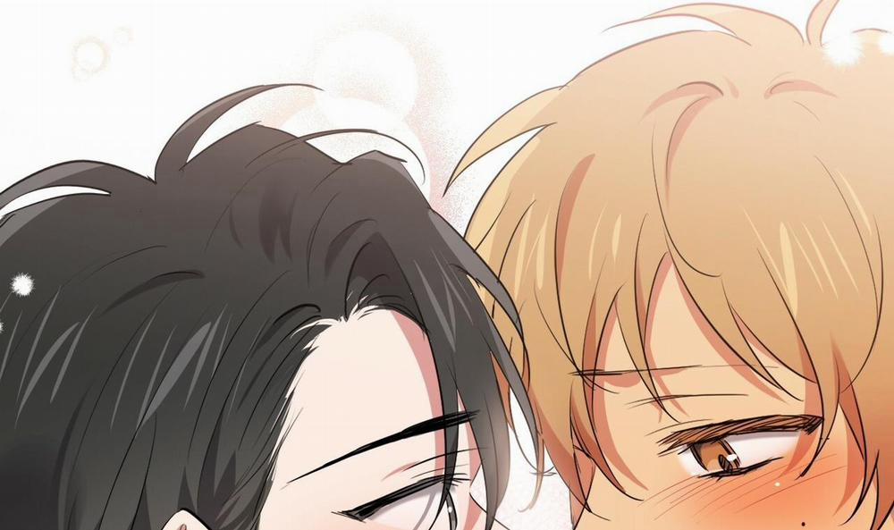 Đàn Thỏ Của Habibi 39 trang 246