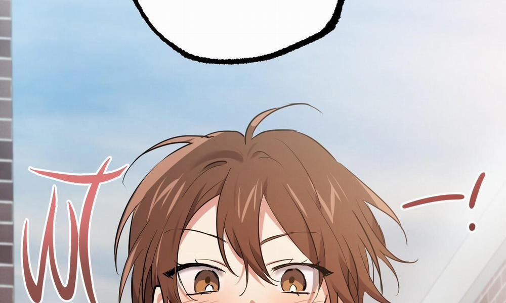 Đàn Thỏ Của Habibi 39 trang 264