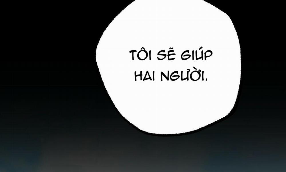 Đàn Thỏ Của Habibi 39 trang 267