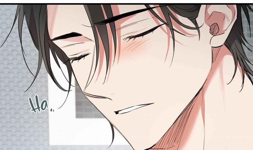 Đàn Thỏ Của Habibi 39 trang 37