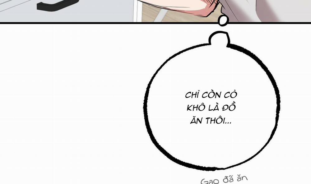 Đàn Thỏ Của Habibi 39 trang 45