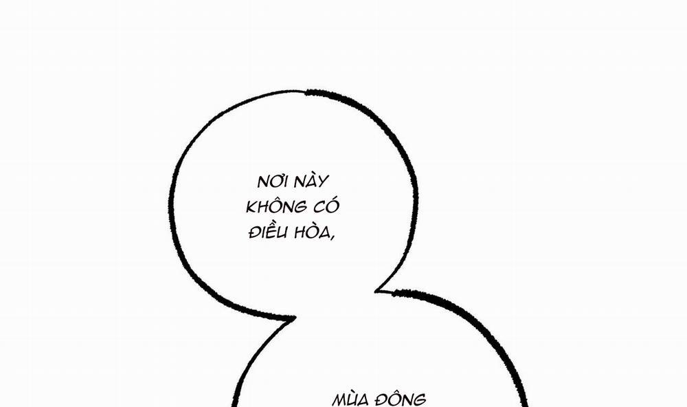 Đàn Thỏ Của Habibi 39 trang 51