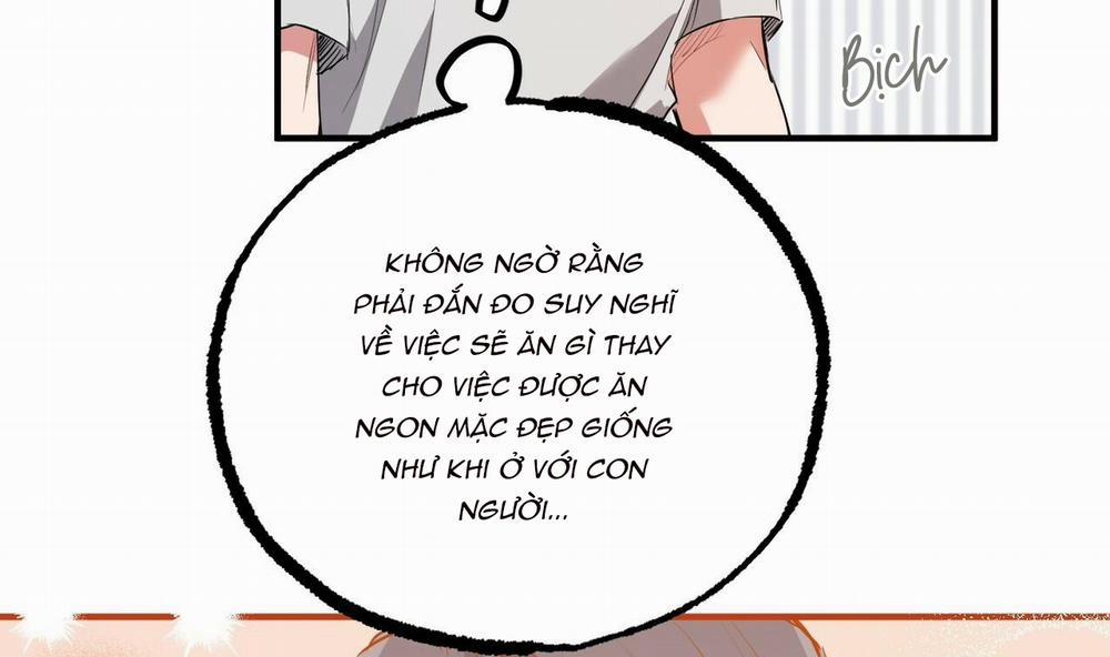 Đàn Thỏ Của Habibi 39 trang 54