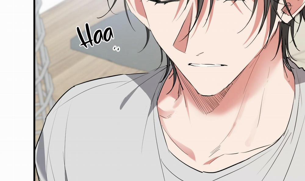 Đàn Thỏ Của Habibi 39 trang 58