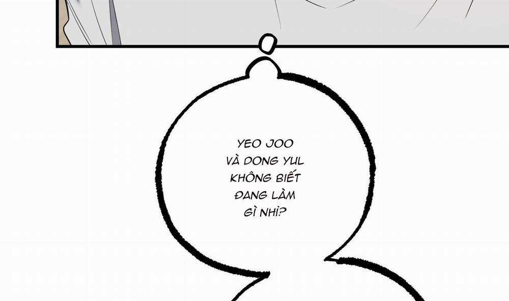 Đàn Thỏ Của Habibi 39 trang 59