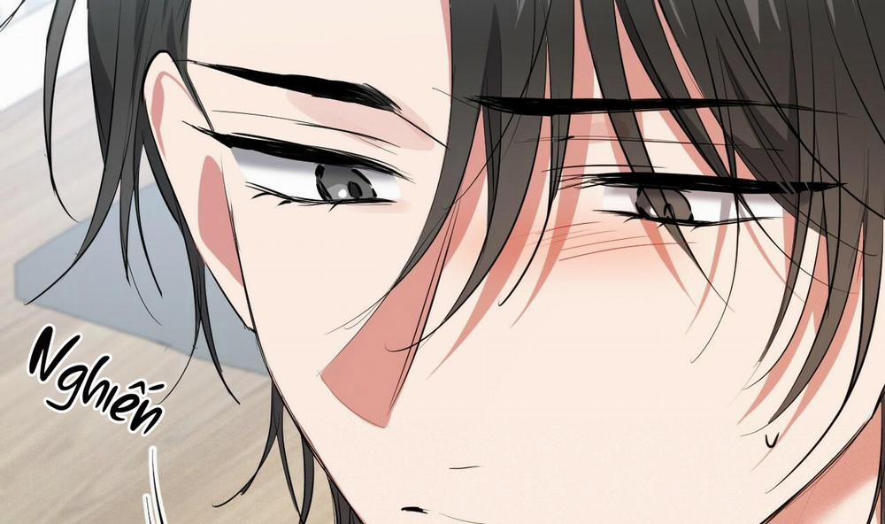 Đàn Thỏ Của Habibi 39 trang 62