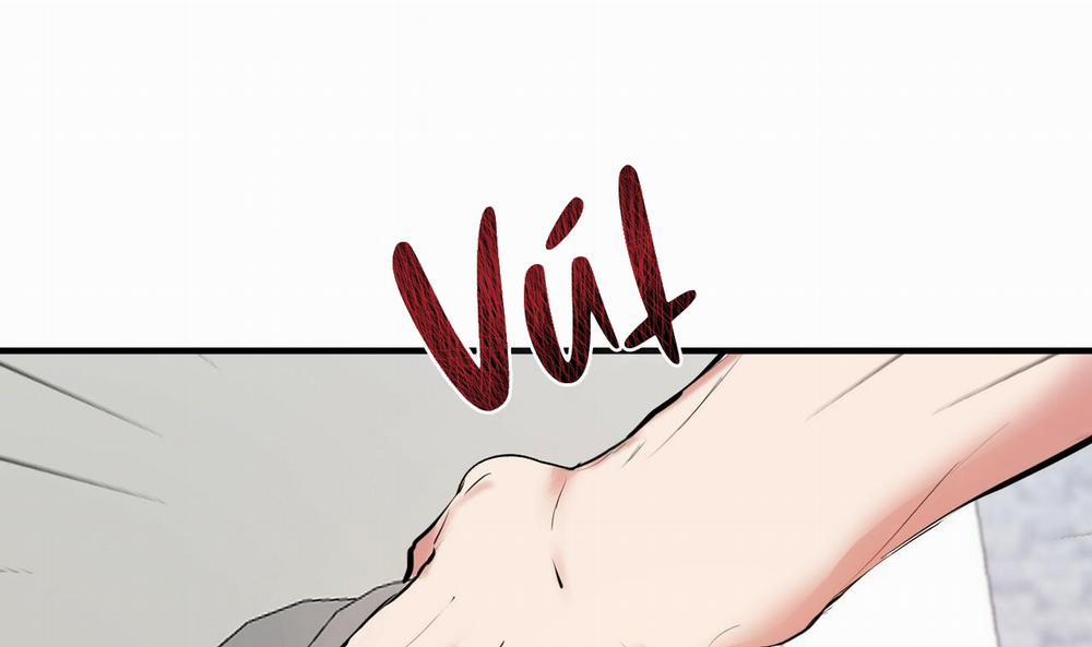 Đàn Thỏ Của Habibi 39 trang 65