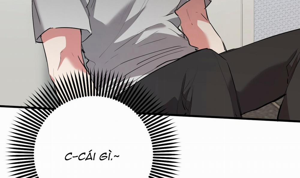 Đàn Thỏ Của Habibi 39 trang 75