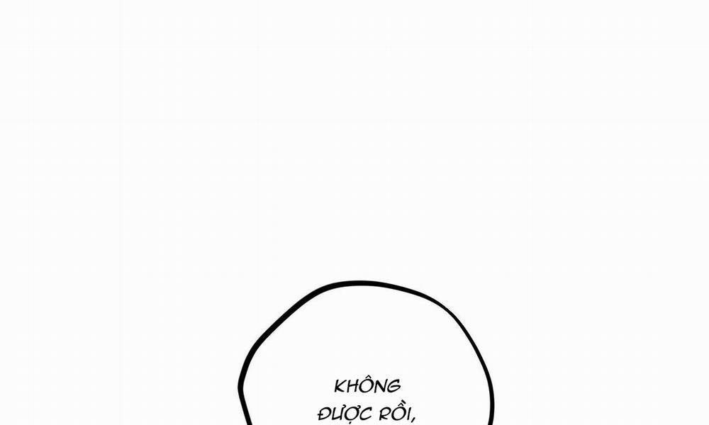 Đàn Thỏ Của Habibi 39 trang 93