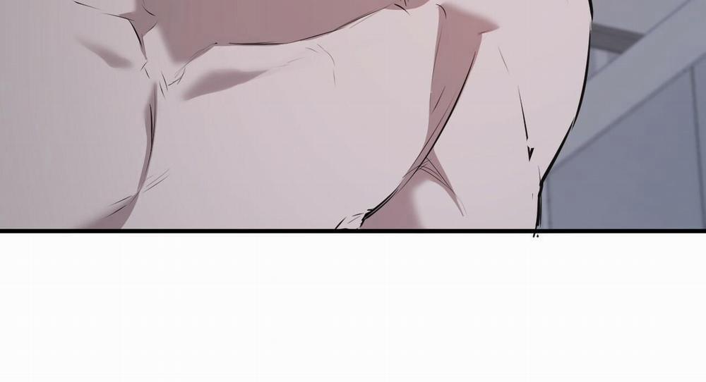 Đàn Thỏ Của Habibi 40 trang 164