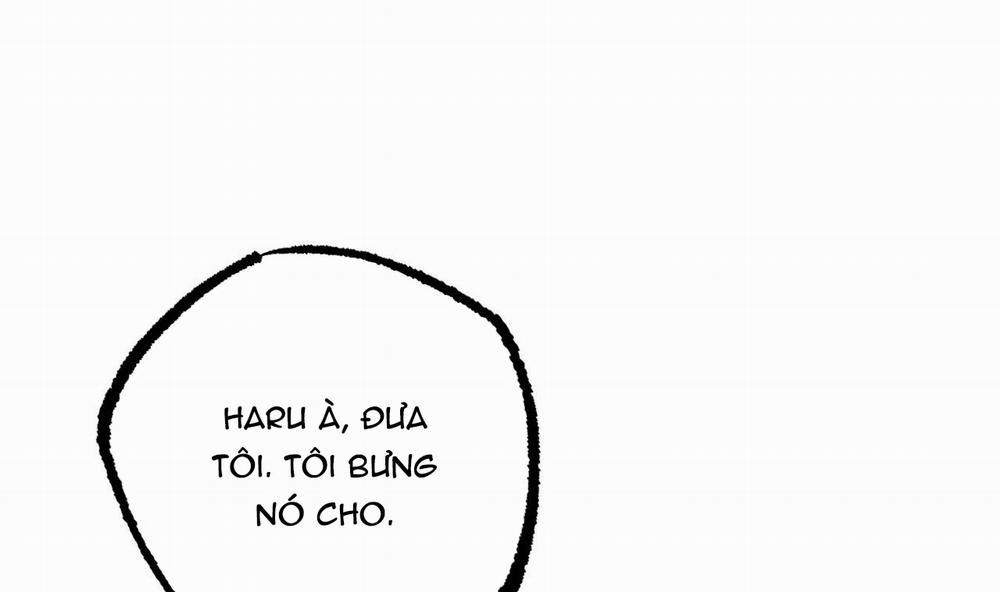 Đàn Thỏ Của Habibi 40 trang 235