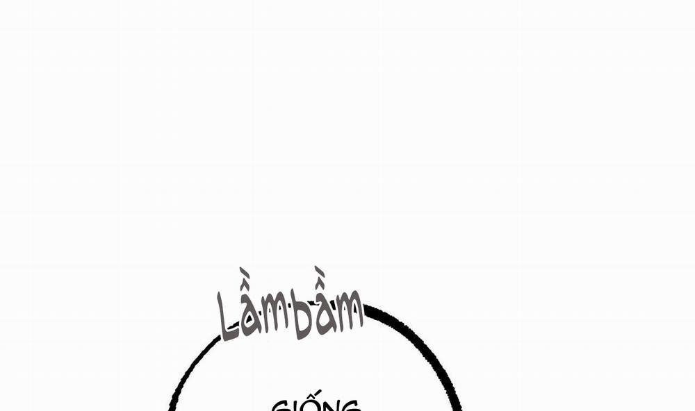 Đàn Thỏ Của Habibi 40 trang 43