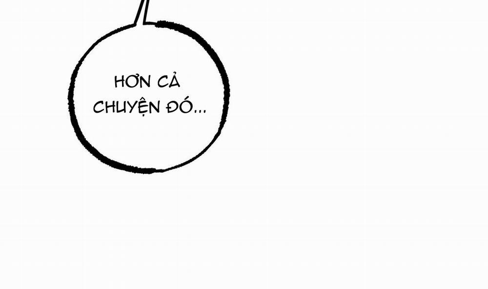 Đàn Thỏ Của Habibi 40 trang 51