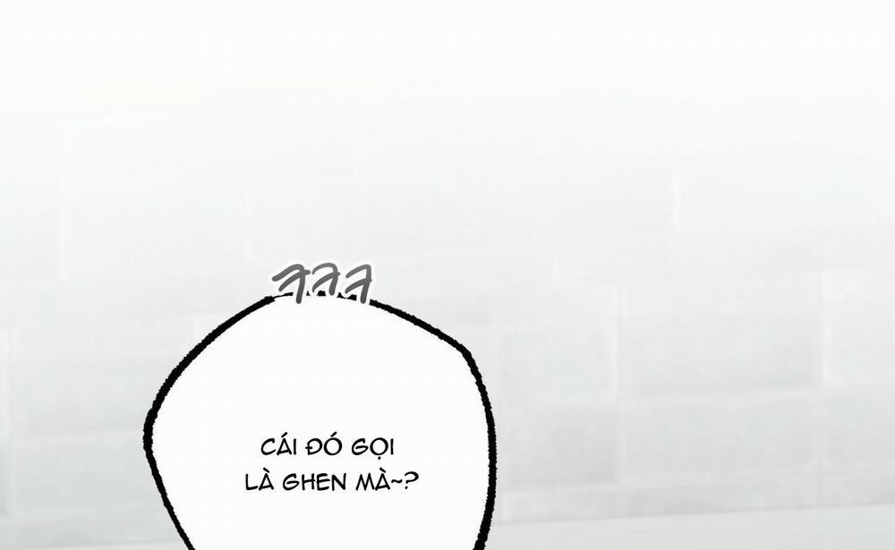 Đàn Thỏ Của Habibi 41 trang 11