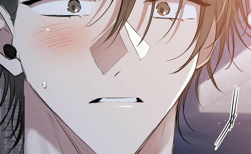 Đàn Thỏ Của Habibi 41 trang 115