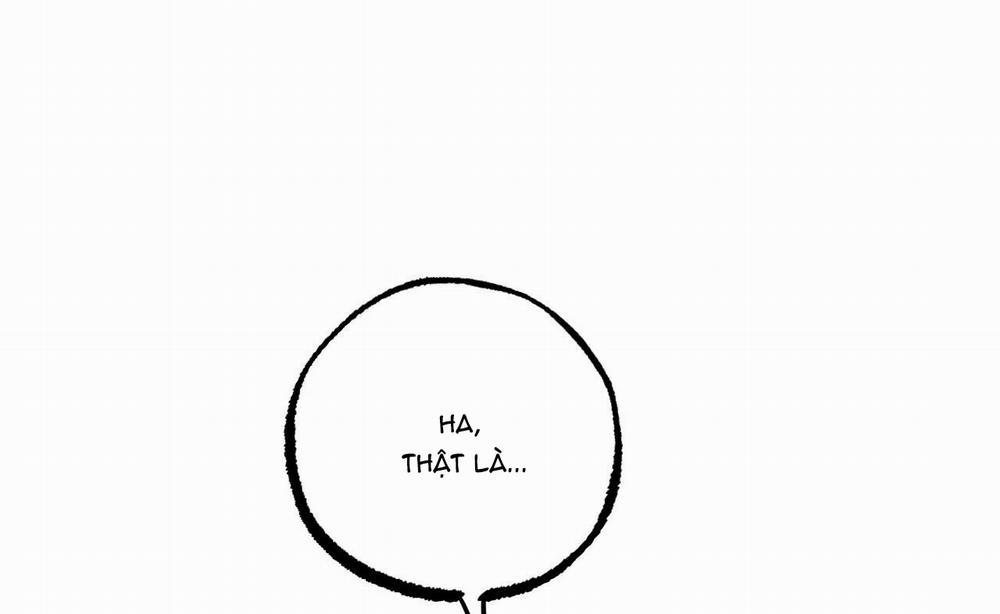 Đàn Thỏ Của Habibi 41 trang 14