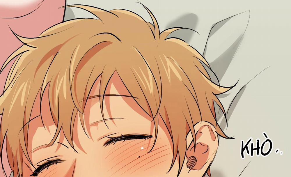 Đàn Thỏ Của Habibi 41 trang 217