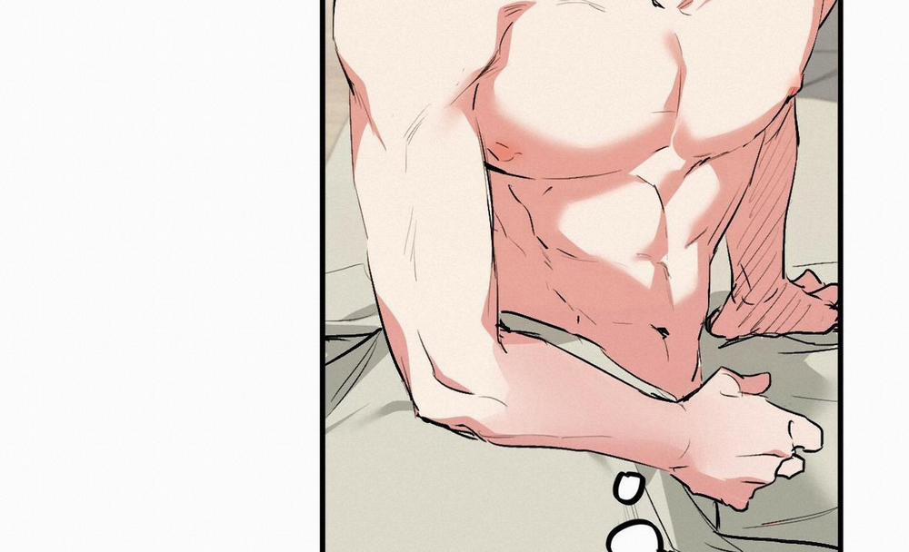 Đàn Thỏ Của Habibi 41 trang 227