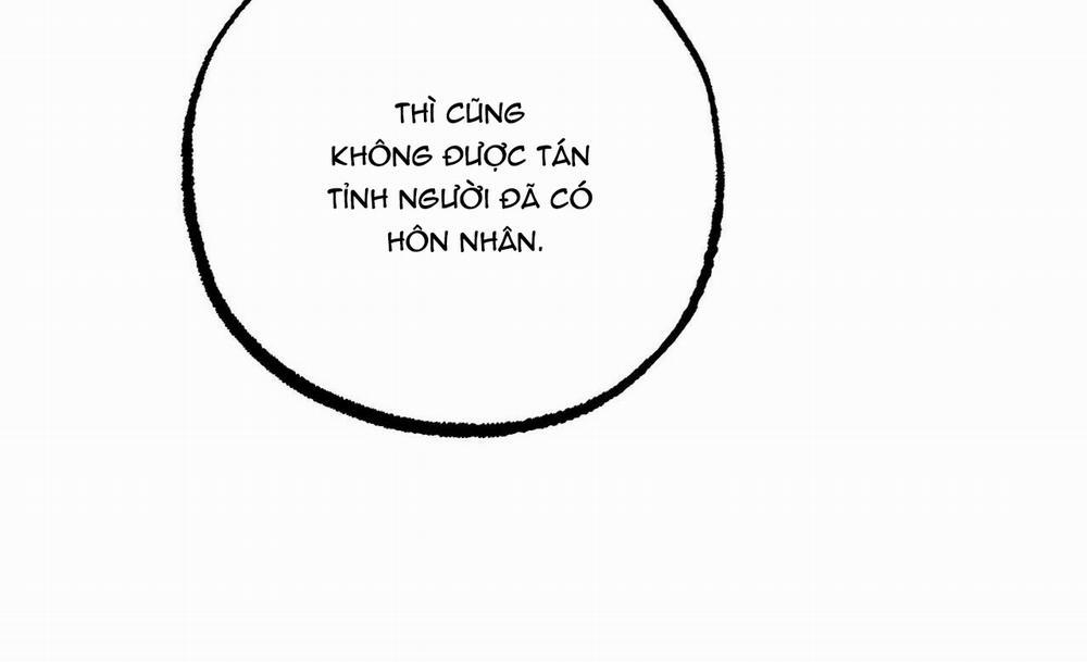 Đàn Thỏ Của Habibi 41 trang 36