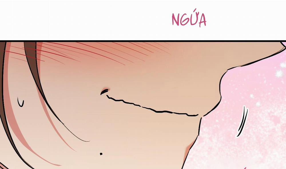 Đàn Thỏ Của Habibi 42 trang 117